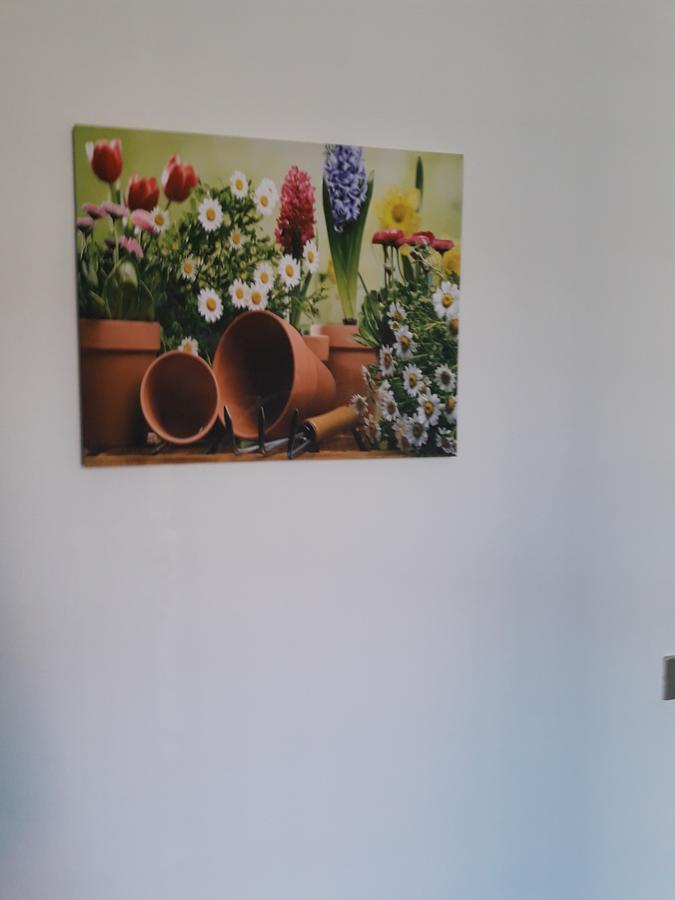 La Casa Nel Verde 2 Μπολόνια Εξωτερικό φωτογραφία